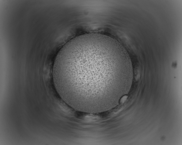 X0000101440515200807141309