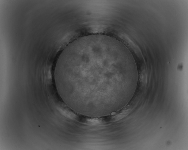 X0000101440516200807141309