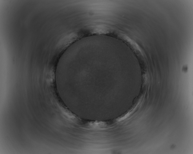 X0000101440517200807141309