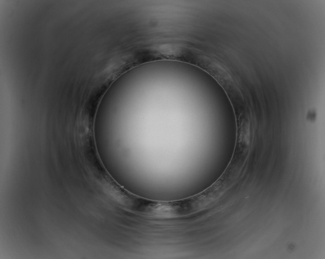 X0000101440518200807141309