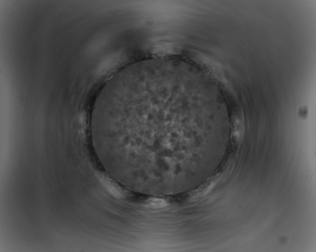 X0000101440519200807141309