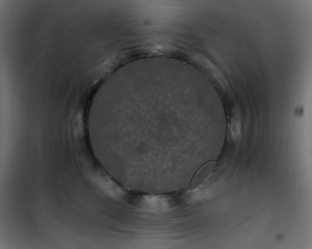 X0000101440520200807141309