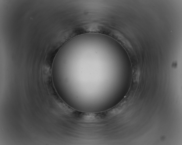 X0000101440521200807141309