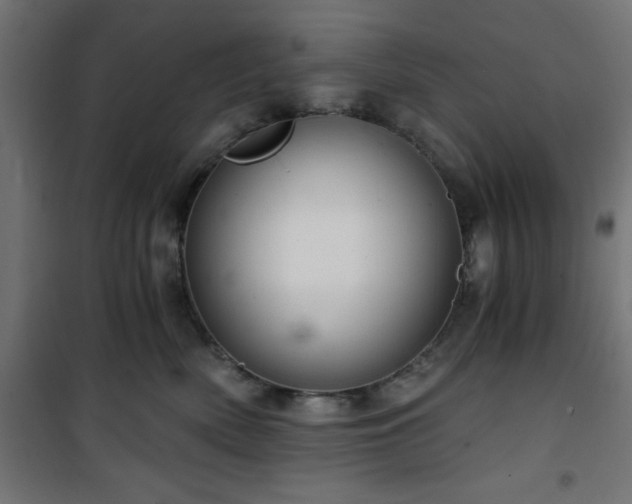 X0000101440522200807141309