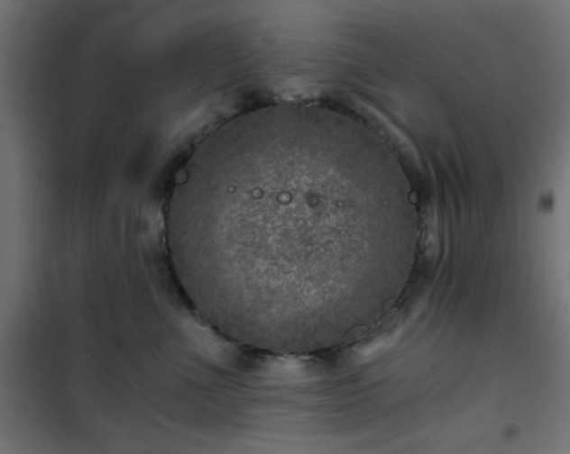 X0000101440523200807141309