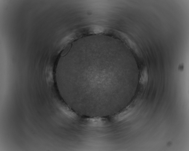 X0000101440524200807141309