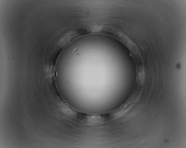 X0000101440525200807141309