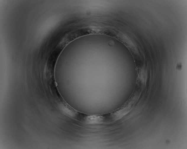 X0000101440526200807141309