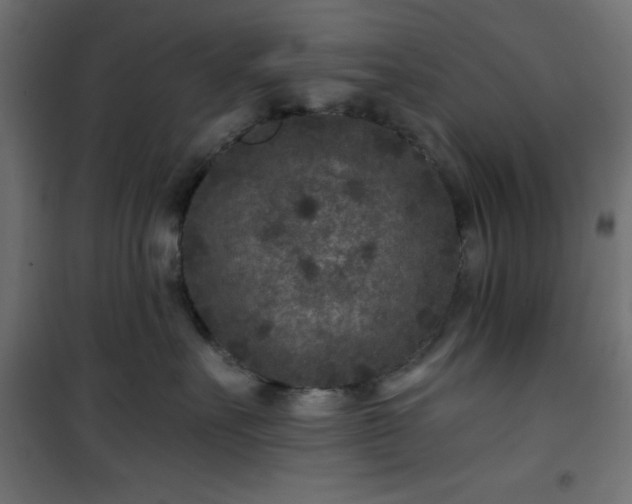 X0000101440527200807141309