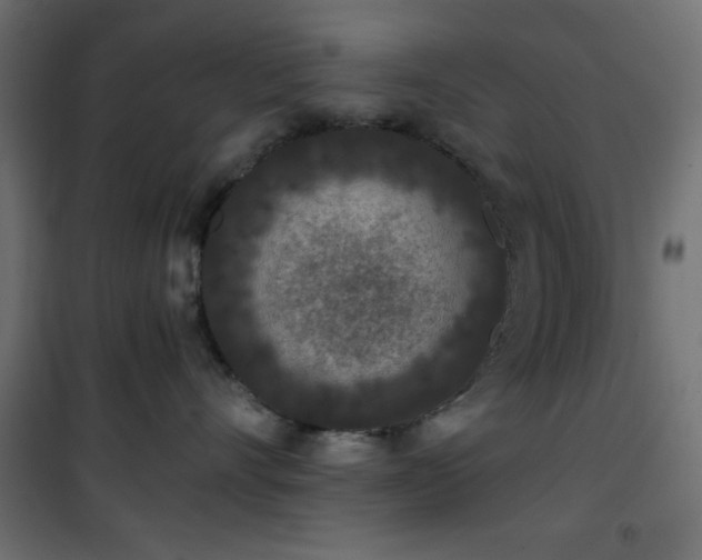 X0000101440528200807141309