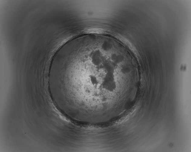 X0000101440529200807141308