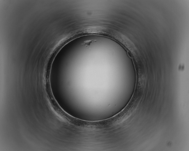 X0000101440530200807141308