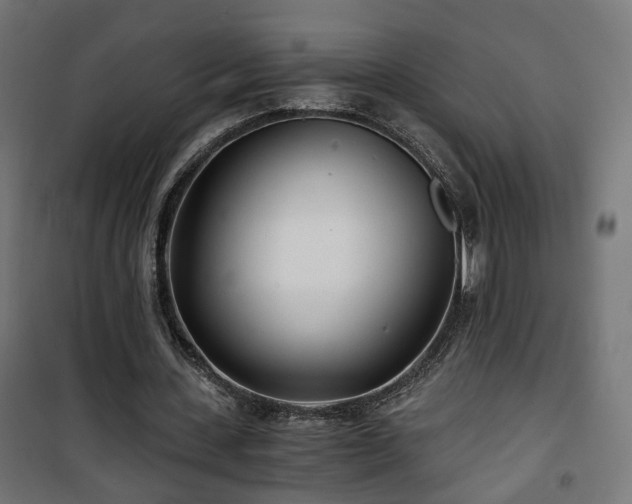 X0000101440531200807141308