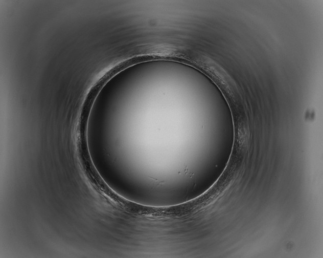 X0000101440532200807141308