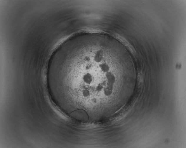 X0000101440533200807141308