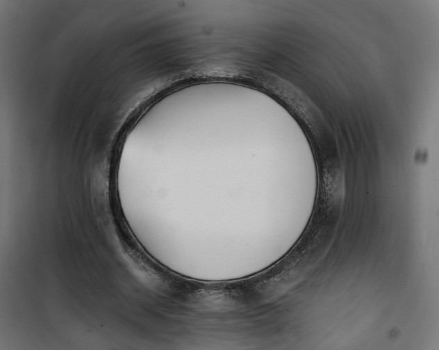 X0000101440534200807141308