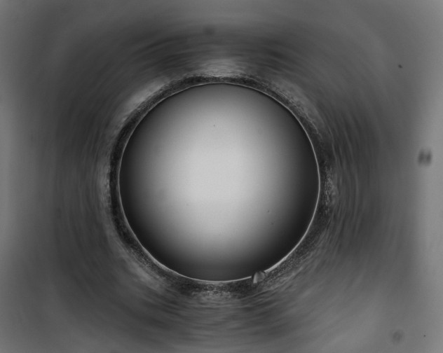 X0000101440535200807141308