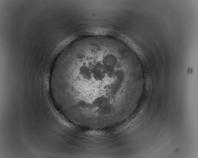 X0000101440537200807141308