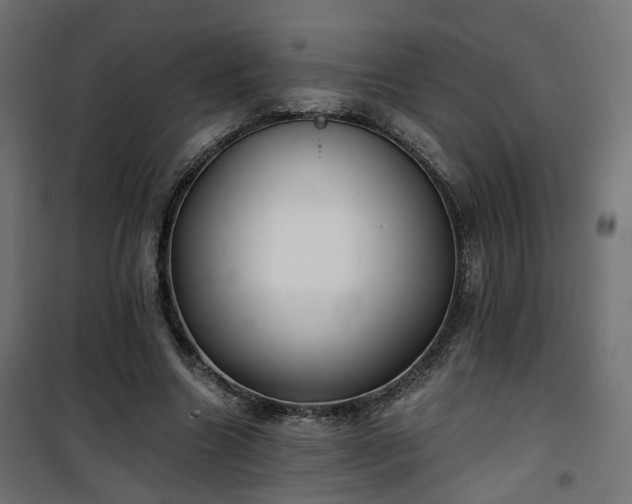 X0000101440538200807141309