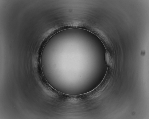 X0000101440540200807141309