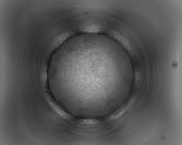 X0000101440541200807141309