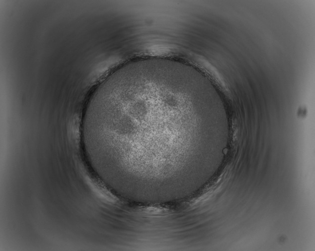 X0000101440542200807141309