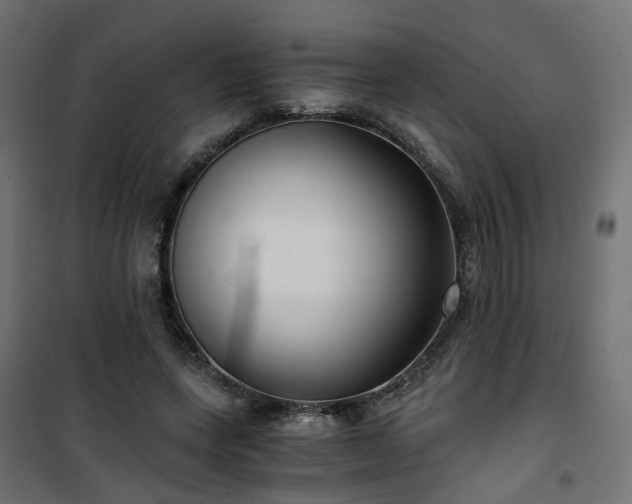 X0000101440543200807141309