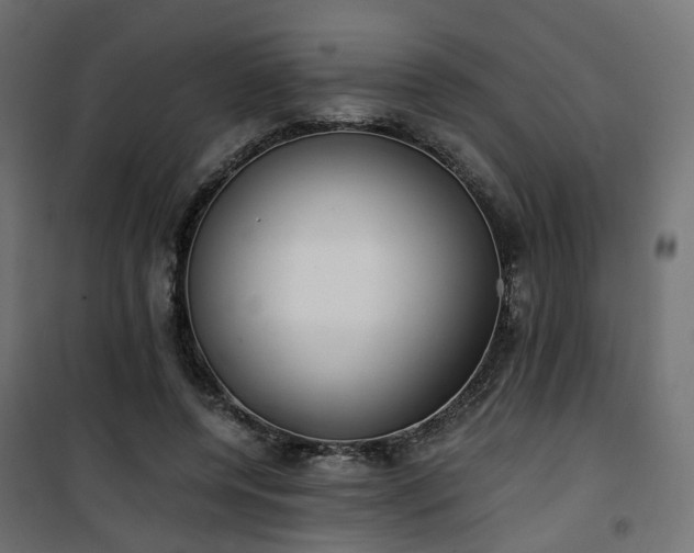 X0000101440544200807141309