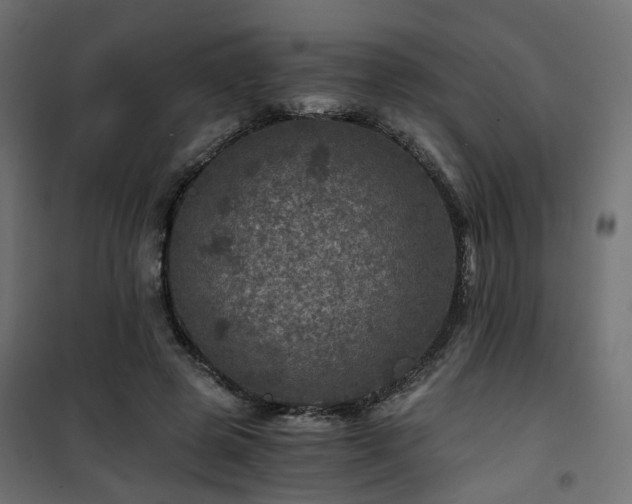 X0000101440545200807141309