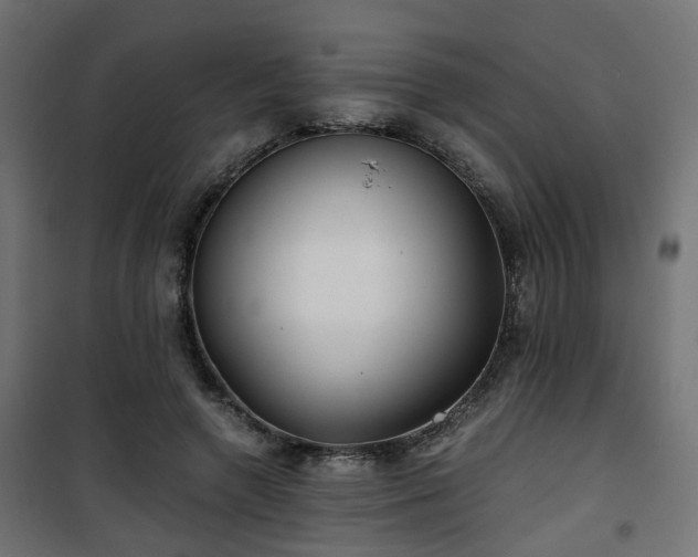 X0000101440546200807141309