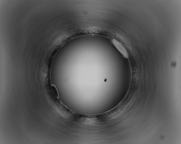 X0000101440548200807141309