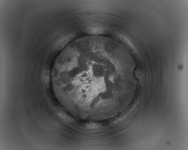 X0000101440549200807141309