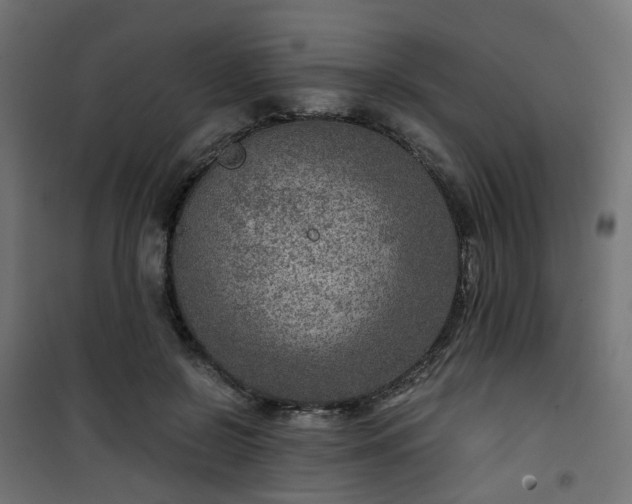 X0000101440550200807141309