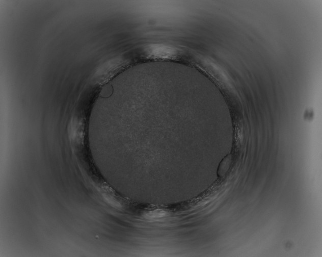 X0000101440551200807141309