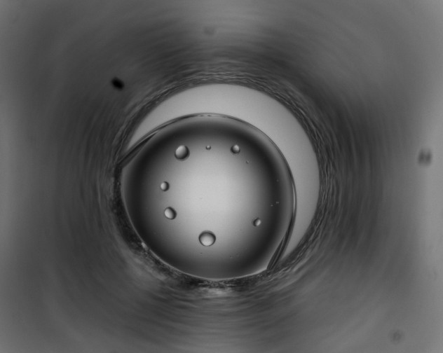 X0000101440552200807141309