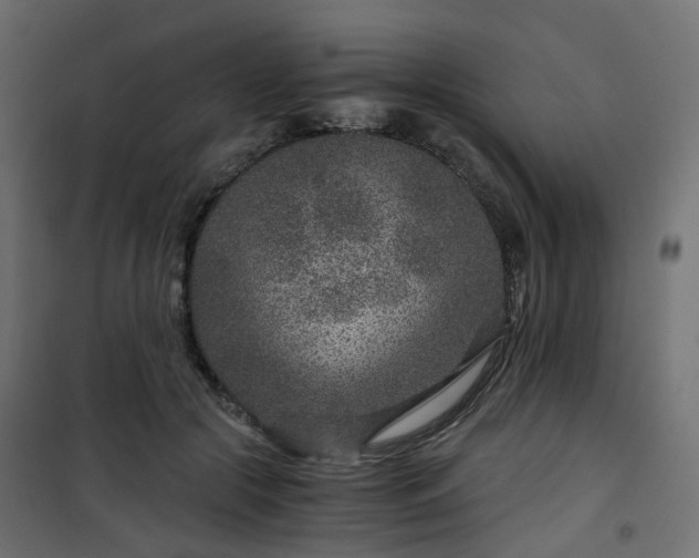 X0000101440553200807141309