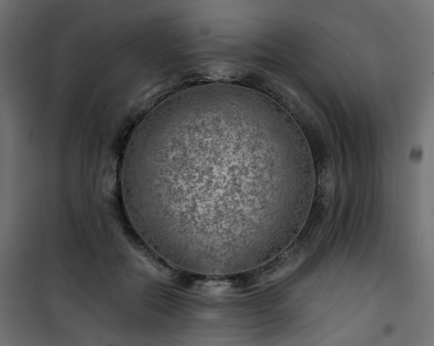 X0000101440554200807141309