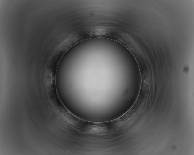 X0000101440555200807141309