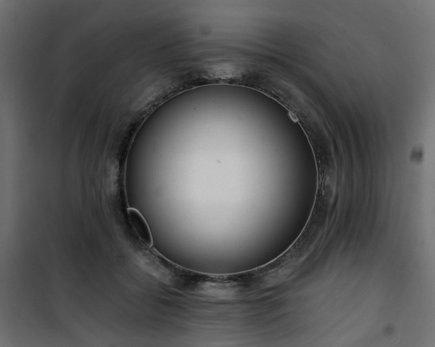 X0000101440556200807141309