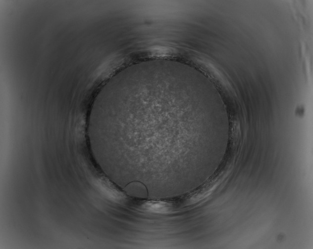 X0000101440557200807141309