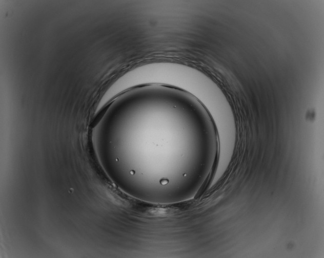 X0000101440558200807141309