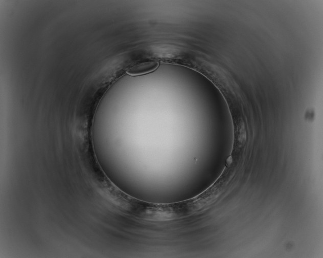 X0000101440559200807141309