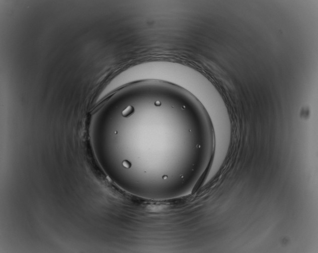 X0000101440560200807141309