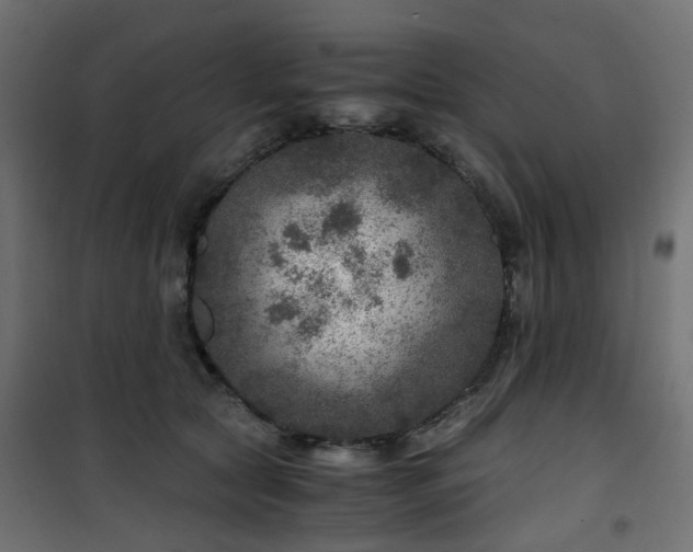 X0000101440561200807141309