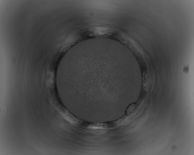 X0000101440563200807141309