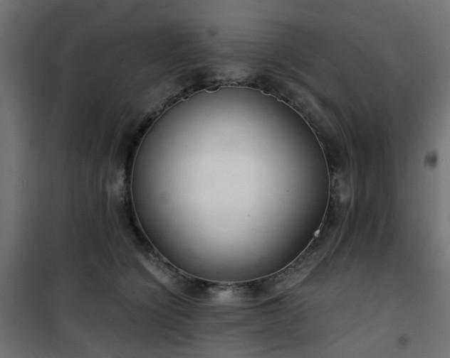 X0000101440564200807141309