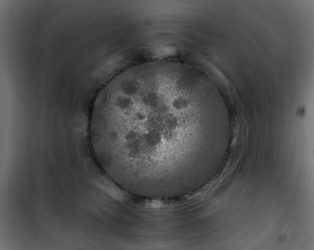 X0000101440565200807141309