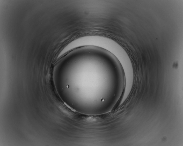 X0000101440566200807141309