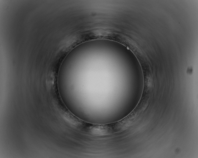 X0000101440567200807141309