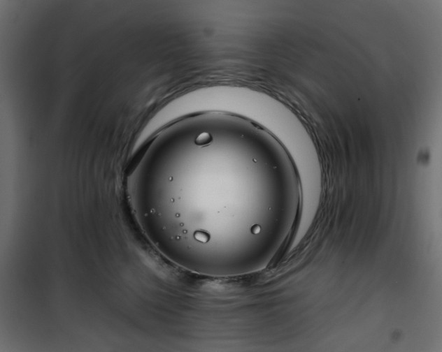 X0000101440568200807141309